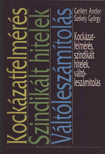 Kockázatfelmérés, szindikált hitelek, váltóelszámítolás
