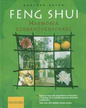 Feng Shui - Harmónia szobanövényekkel