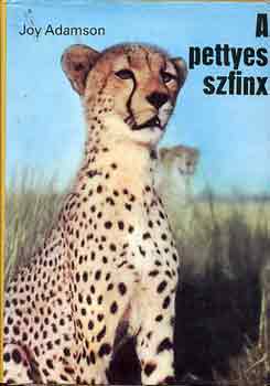 A pettyes szfinx
