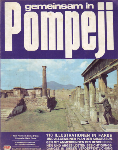 Gemeinsam in Pompeji
