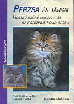 Perzsa és társai - Hosszű szőrű macskák és az egzotikus rövid szőrű